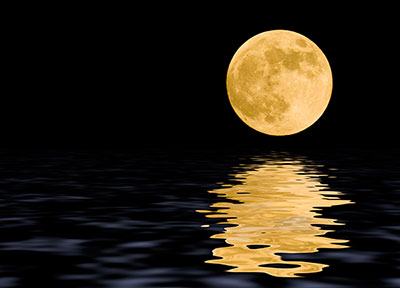 Adobe Stock #3836958 von PictureArt