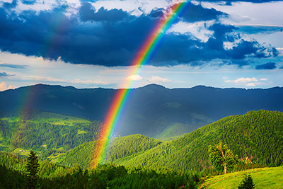 Foto: AdobeStock # 278366290 von Roxana